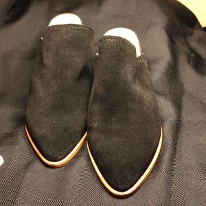 Dolce Vita suede mule size 8.5